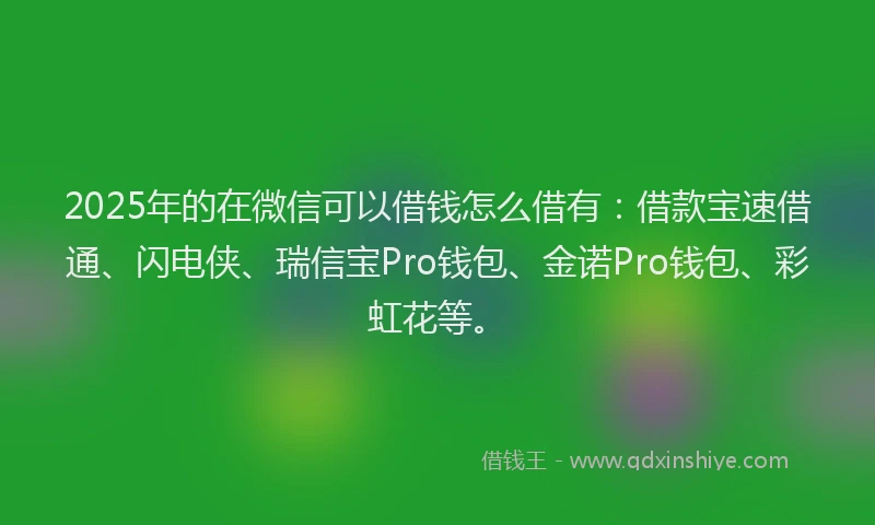 2025年的在微信可以借钱怎么借有：借款宝速借通、闪电侠、瑞信宝Pro钱包、金诺Pro钱包、彩虹花等。