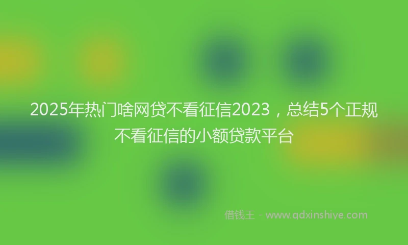 2025年热门啥网贷不看征信2023，总结5个正规不看征信的小额贷款平台