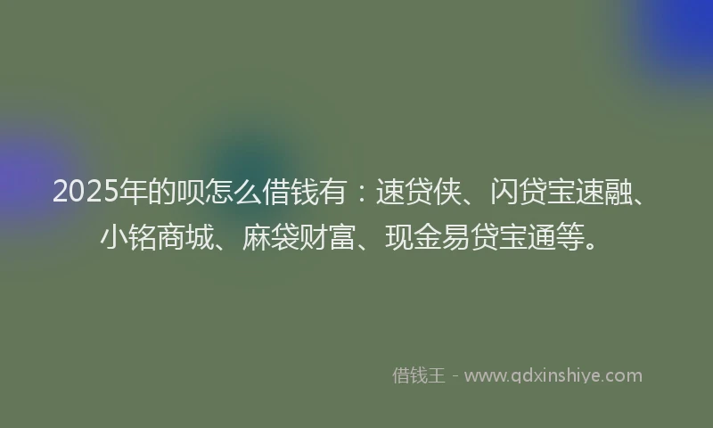 2025年的呗怎么借钱有：速贷侠、闪贷宝速融、小铭商城、麻袋财富、现金易贷宝通等。