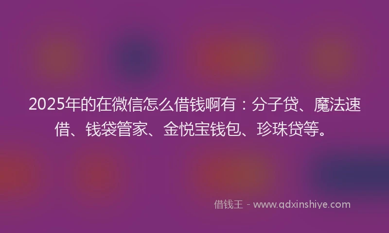 2025年的在微信怎么借钱啊有：分子贷、魔法速借、钱袋管家、金悦宝钱包、珍珠贷等。