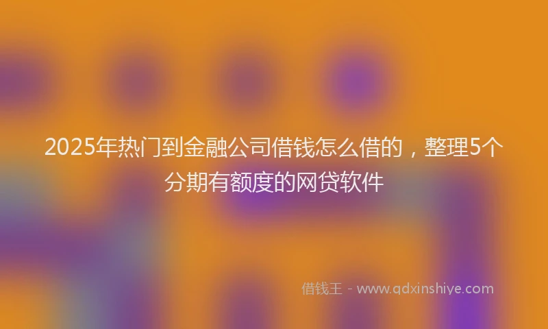 2025年热门到金融公司借钱怎么借的，整理5个分期有额度的网贷软件