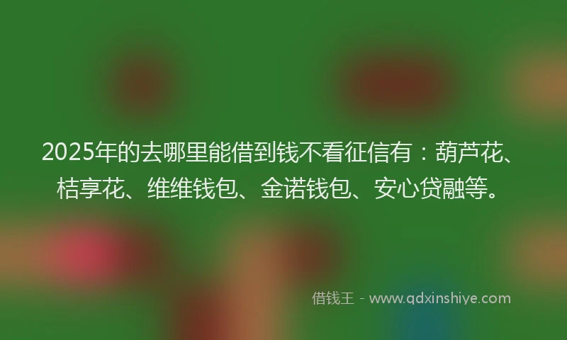 2025年的去哪里能借到钱不看征信有：葫芦花、桔享花、维维钱包、金诺钱包、安心贷融等。