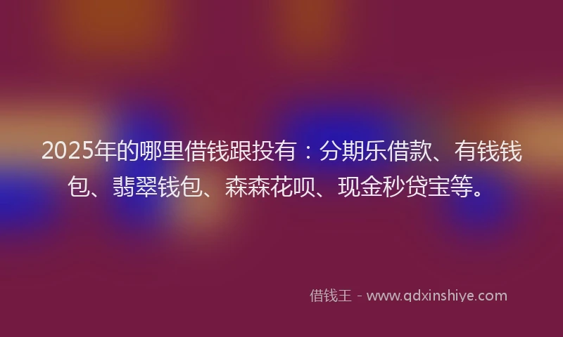 2025年的哪里借钱跟投有：分期乐借款、有钱钱包、翡翠钱包、森森花呗、现金秒贷宝等。