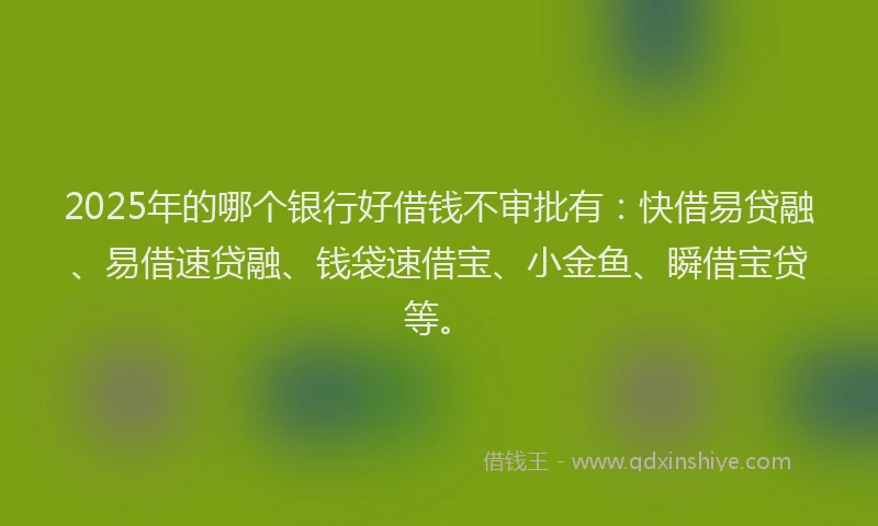 2025年的哪个银行好借钱不审批有：快借易贷融、易借速贷融、钱袋速借宝、小金鱼、瞬借宝贷等。