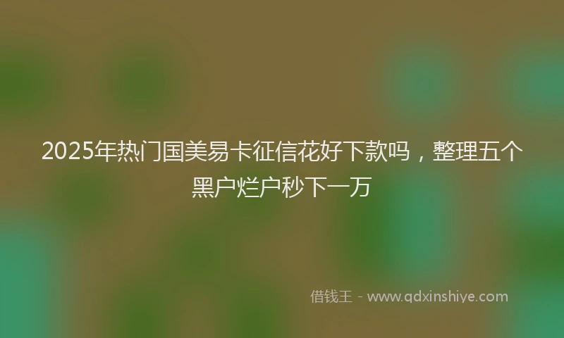 2025年热门国美易卡征信花好下款吗，整理五个黑户烂户秒下一万