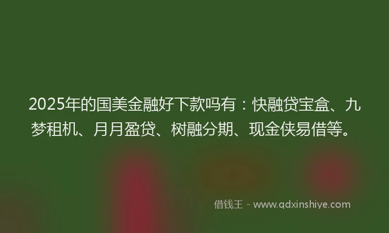2025年的国美金融好下款吗有：快融贷宝盒、九梦租机、月月盈贷、树融分期、现金侠易借等。