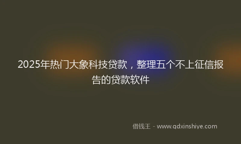 2025年热门大象科技贷款，整理五个不上征信报告的贷款软件