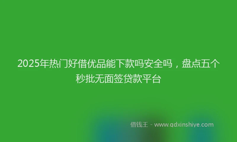 2025年热门好借优品能下款吗安全吗，盘点五个秒批无面签贷款平台