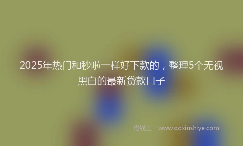 2025年热门和秒啦一样好下款的，整理5个无视黑白的最新贷款口子