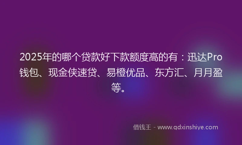 2025年的哪个贷款好下款额度高的有：迅达Pro钱包、现金侠速贷、易橙优品、东方汇、月月盈等。