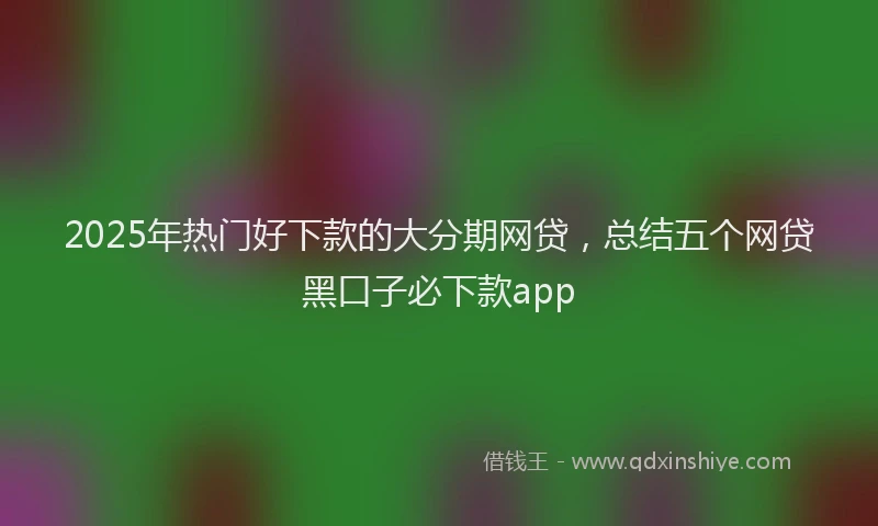2025年热门好下款的大分期网贷，总结五个网贷黑口子必下款app