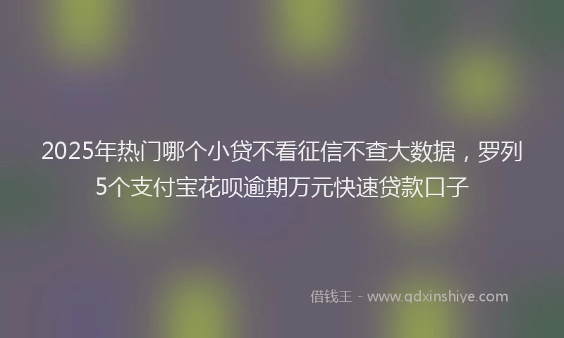 2025年热门哪个小贷不看征信不查大数据，罗列5个支付宝花呗逾期万元快速贷款口子