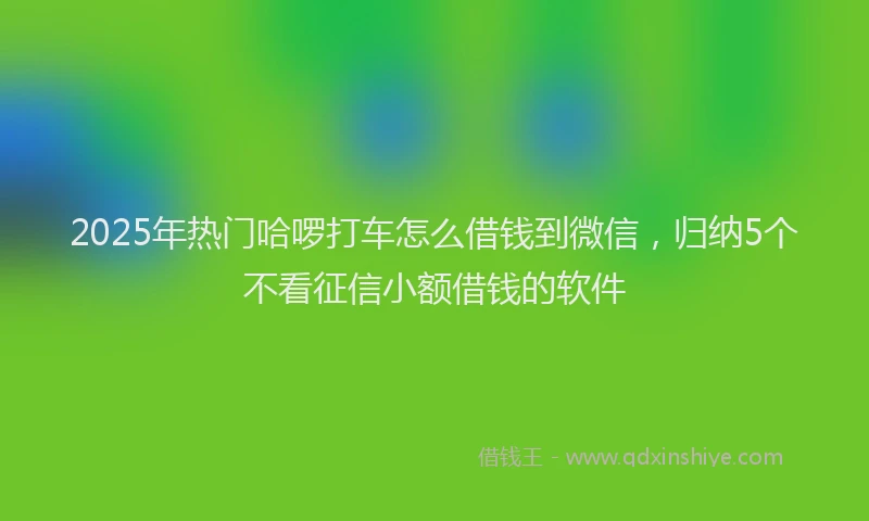 2025年热门哈啰打车怎么借钱到微信，归纳5个不看征信小额借钱的软件