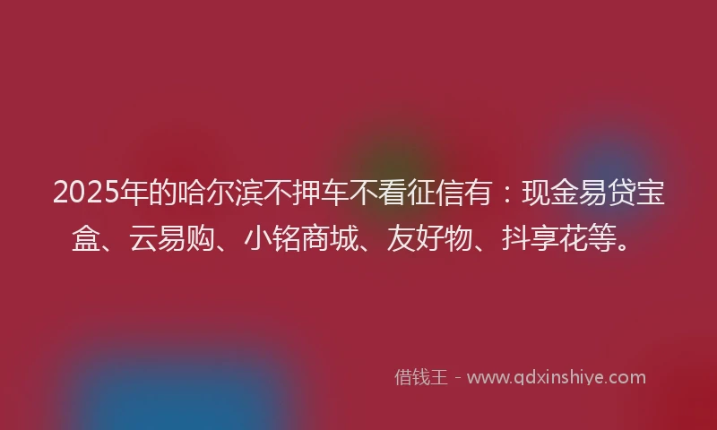 2025年的哈尔滨不押车不看征信有：现金易贷宝盒、云易购、小铭商城、友好物、抖享花等。