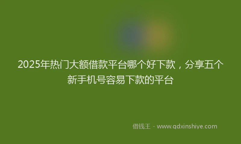 2025年热门大额借款平台哪个好下款，分享五个新手机号容易下款的平台