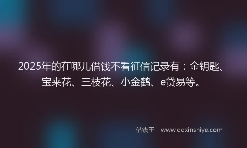 2025年的在哪儿借钱不看征信记录有：金钥匙、宝来花、三枝花、小金鹤、e贷易等。
