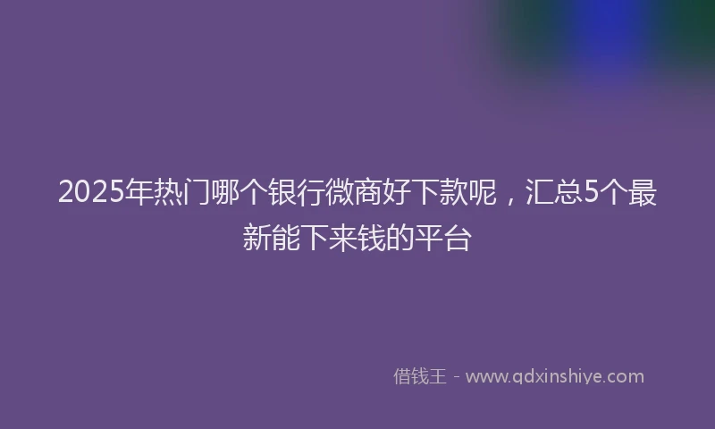2025年热门哪个银行微商好下款呢，汇总5个最新能下来钱的平台
