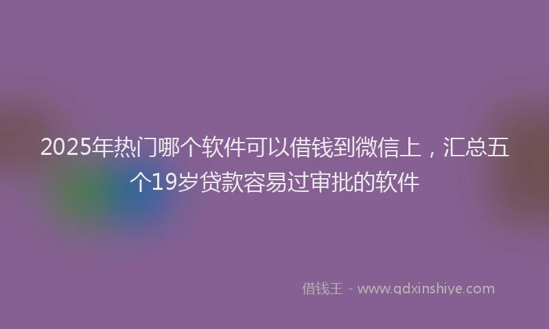2025年热门哪个软件可以借钱到微信上，汇总五个19岁贷款容易过审批的软件