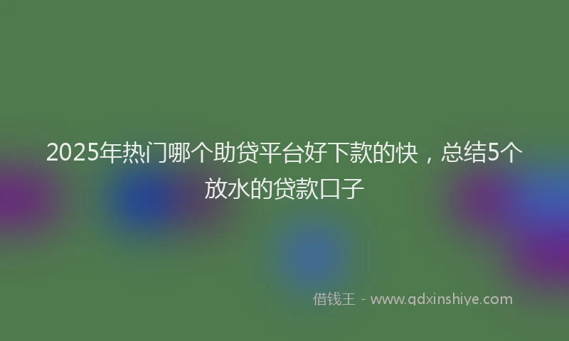 2025年热门哪个助贷平台好下款的快，总结5个放水的贷款口子