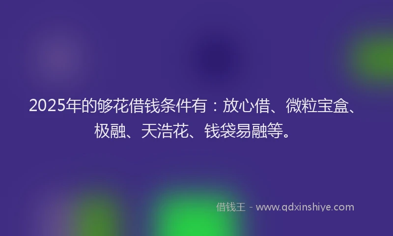 2025年的够花借钱条件有：放心借、微粒宝盒、极融、天浩花、钱袋易融等。
