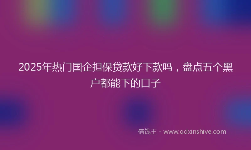 2025年热门国企担保贷款好下款吗，盘点五个黑户都能下的口子