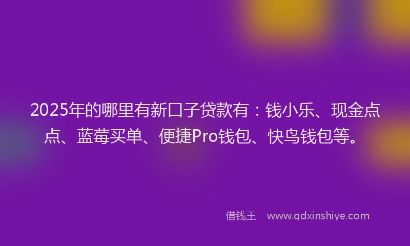 2025年的哪里有新口子贷款有：钱小乐、现金点点、蓝莓买单、便捷Pro钱包、快鸟钱包等。