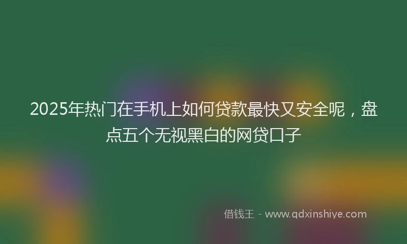 2025年热门在手机上如何贷款最快又安全呢，盘点五个无视黑白的网贷口子