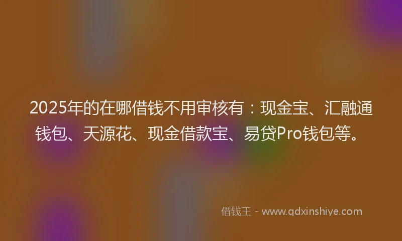 2025年的在哪借钱不用审核有：现金宝、汇融通钱包、天源花、现金借款宝、易贷Pro钱包等。