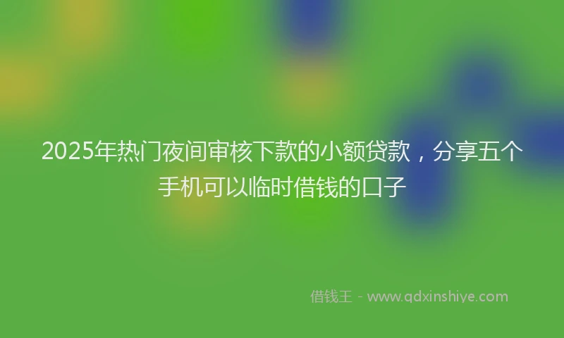 2025年热门夜间审核下款的小额贷款，分享五个手机可以临时借钱的口子