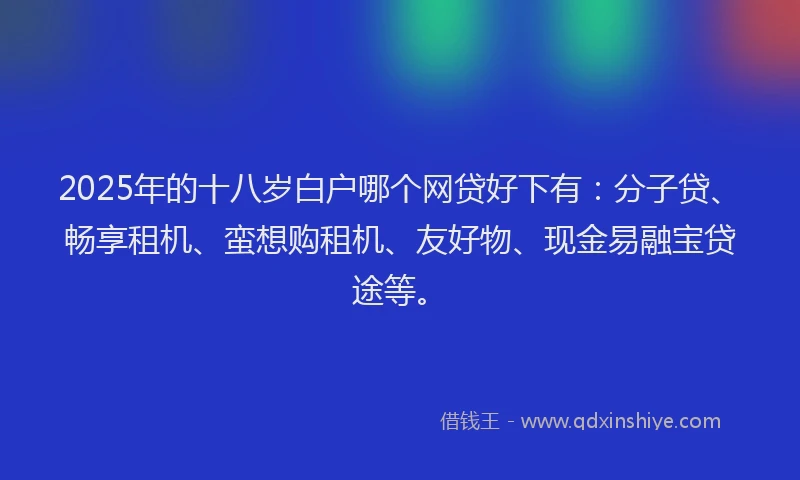 2025年的十八岁白户哪个网贷好下有：分子贷、畅享租机、蛮想购租机、友好物、现金易融宝贷途等。