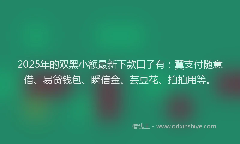 2025年的双黑小额最新下款口子有：翼支付随意借、易贷钱包、瞬信金、芸豆花、拍拍用等。