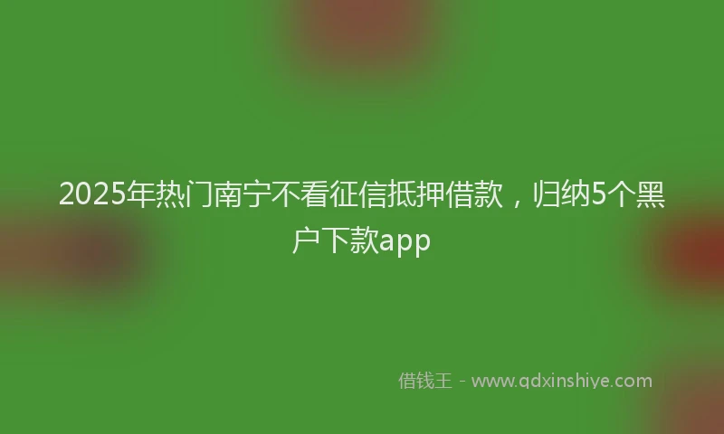 2025年热门南宁不看征信抵押借款，归纳5个黑户下款app