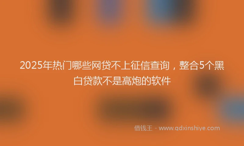 2025年热门哪些网贷不上征信查询，整合5个黑白贷款不是高炮的软件