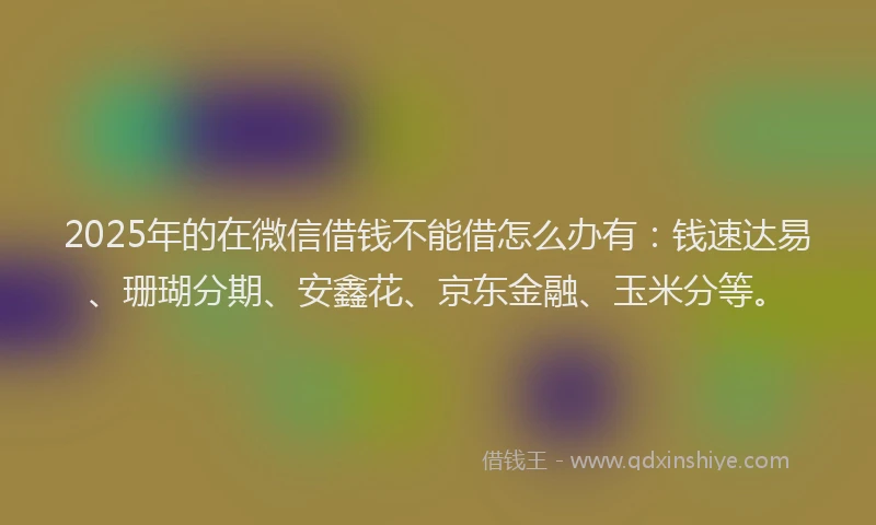 2025年的在微信借钱不能借怎么办有：钱速达易、珊瑚分期、安鑫花、京东金融、玉米分等。
