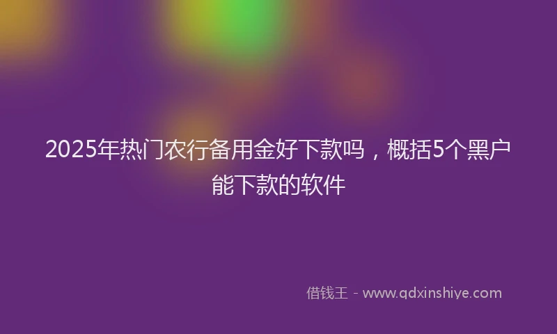 2025年热门农行备用金好下款吗，概括5个黑户能下款的软件