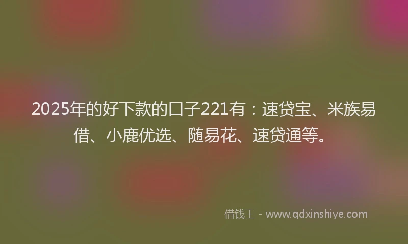 2025年的好下款的口子221有：速贷宝、米族易借、小鹿优选、随易花、速贷通等。