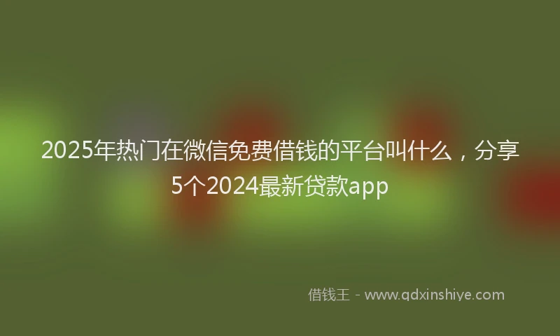 2025年热门在微信免费借钱的平台叫什么，分享5个2024最新贷款app