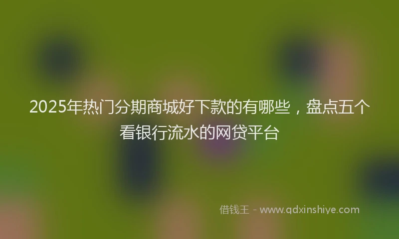 2025年热门分期商城好下款的有哪些，盘点五个看银行流水的网贷平台
