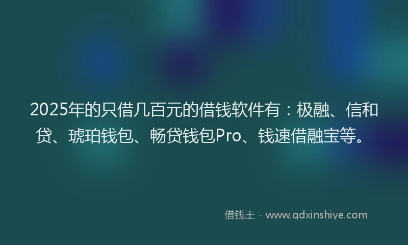 2025年的只借几百元的借钱软件有：极融、信和贷、琥珀钱包、畅贷钱包Pro、钱速借融宝等。