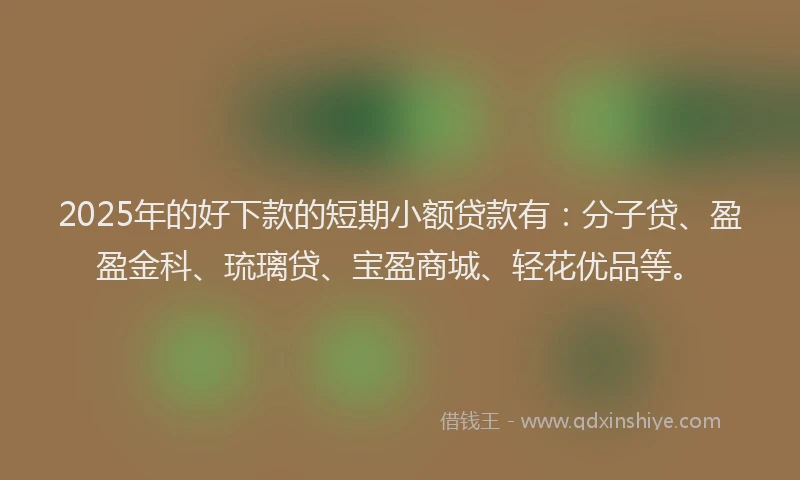 2025年的好下款的短期小额贷款有：分子贷、盈盈金科、琉璃贷、宝盈商城、轻花优品等。