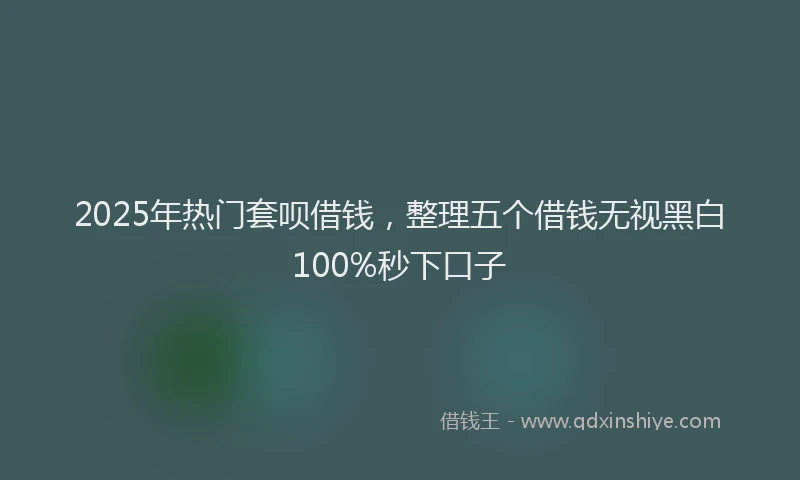 2025年热门套呗借钱，整理五个借钱无视黑白100%秒下口子