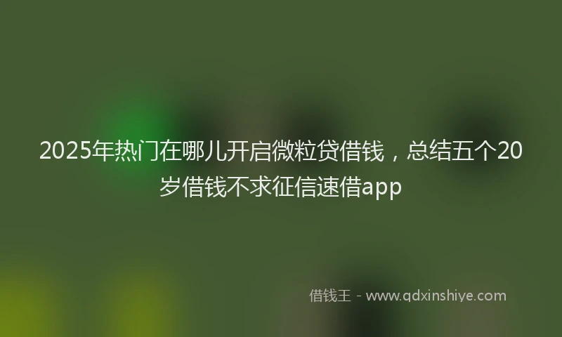 2025年热门在哪儿开启微粒贷借钱，总结五个20岁借钱不求征信速借app
