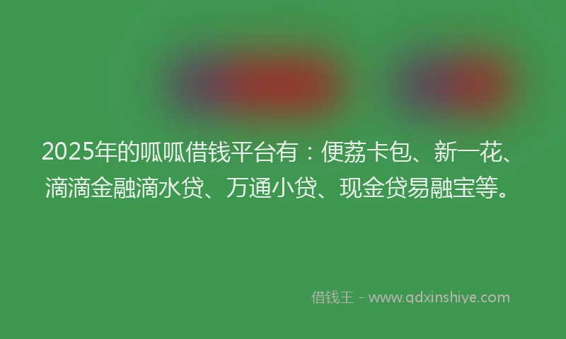 2025年的呱呱借钱平台有：便荔卡包、新一花、滴滴金融滴水贷、万通小贷、现金贷易融宝等。