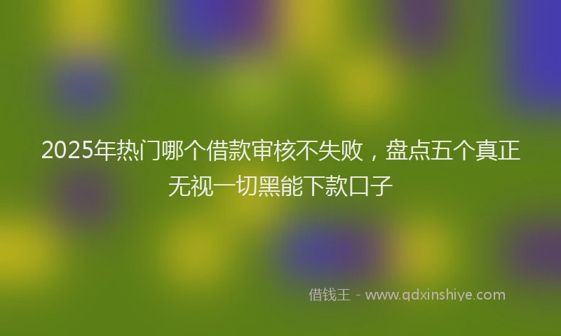 2025年热门哪个借款审核不失败，盘点五个真正无视一切黑能下款口子