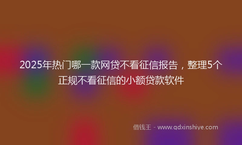 2025年热门哪一款网贷不看征信报告，整理5个正规不看征信的小额贷款软件