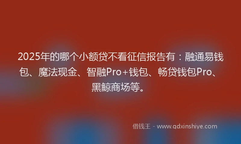 2025年的哪个小额贷不看征信报告有：融通易钱包、魔法现金、智融Pro+钱包、畅贷钱包Pro、黑鲸商场等。