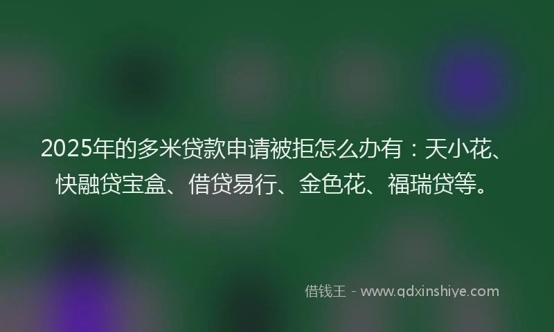 2025年的多米贷款申请被拒怎么办有：天小花、快融贷宝盒、借贷易行、金色花、福瑞贷等。