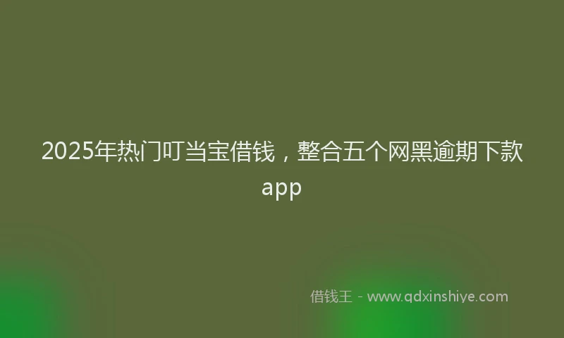 2025年热门叮当宝借钱，整合五个网黑逾期下款app