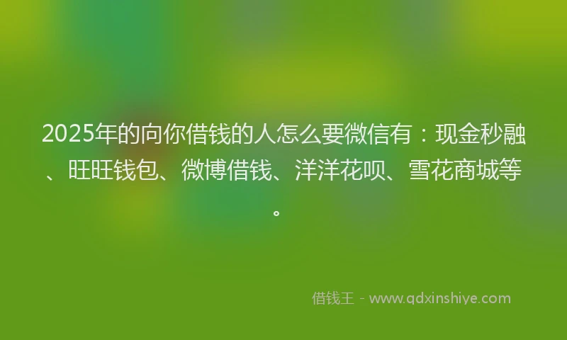 2025年的向你借钱的人怎么要微信有：现金秒融、旺旺钱包、微博借钱、洋洋花呗、雪花商城等。