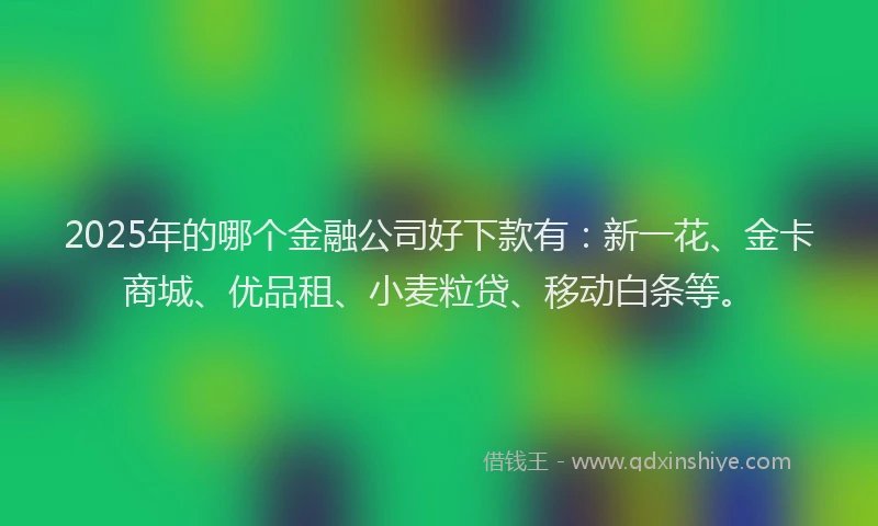 2025年的哪个金融公司好下款有：新一花、金卡商城、优品租、小麦粒贷、移动白条等。